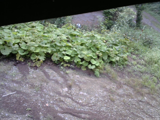 長野県菅平高原 ゆたか山荘 駐車場 2025/08/31 06:30