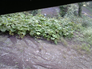 長野県菅平高原 ゆたか山荘 駐車場 2025/08/31 06:45