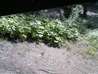 長野県菅平高原 ゆたか山荘 駐車場 2025/08/31 08:30