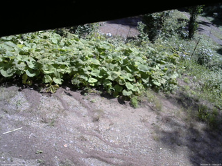 長野県菅平高原 ゆたか山荘 駐車場 2025/08/31 10:00