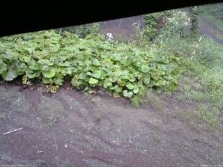 長野県菅平高原 ゆたか山荘 駐車場 2025/08/31 17:15