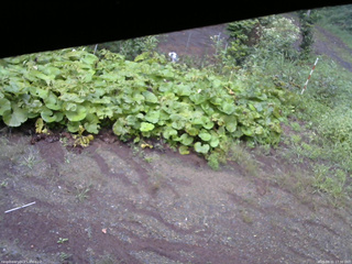 長野県菅平高原 ゆたか山荘 駐車場 2025/08/31 17:30