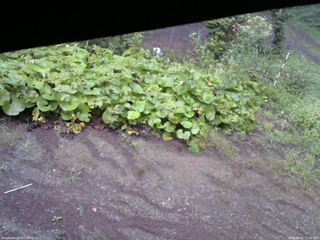 長野県菅平高原 ゆたか山荘 駐車場 2025/08/31 17:45