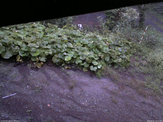 長野県菅平高原 ゆたか山荘 駐車場 2025/08/31 18:15