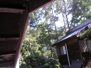 長野県菅平高原 ゆたか山荘 北側 2025/09/01 09:00