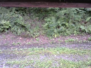 長野県菅平高原 ゆたか山荘 南側 2025/09/01 14:15