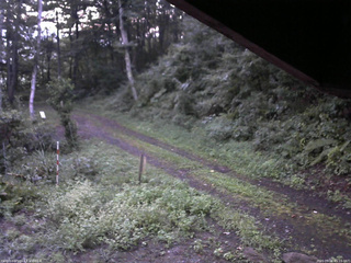 長野県菅平高原 ゆたか山荘 東側(坂下) 2025/09/01 05:15
