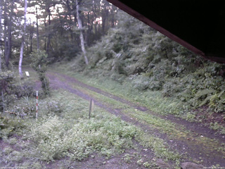 長野県菅平高原 ゆたか山荘 東側(坂下) 2025/09/01 05:30