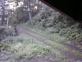 長野県菅平高原 ゆたか山荘 東側(坂下) 2025/09/01 05:45