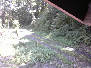 長野県菅平高原 ゆたか山荘 東側(坂下) 2025/09/01 10:30