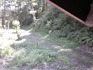 長野県菅平高原 ゆたか山荘 東側(坂下) 2025/09/01 10:45