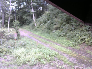 長野県菅平高原 ゆたか山荘 東側(坂下) 2025/09/01 12:15