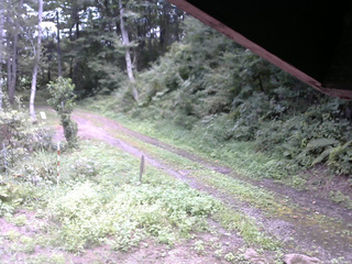 長野県菅平高原 ゆたか山荘 東側(坂下) 2025/09/01 12:30
