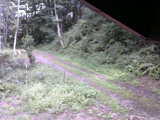 長野県菅平高原 ゆたか山荘 東側(坂下) 2025/09/01 12:45