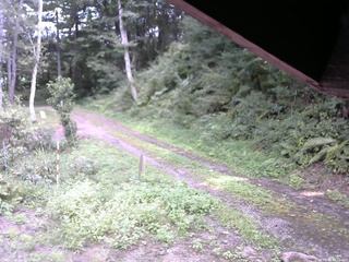 長野県菅平高原 ゆたか山荘 東側(坂下) 2025/09/01 13:15