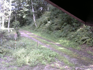 長野県菅平高原 ゆたか山荘 東側(坂下) 2025/09/01 13:45