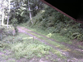 長野県菅平高原 ゆたか山荘 東側(坂下) 2025/09/01 14:00