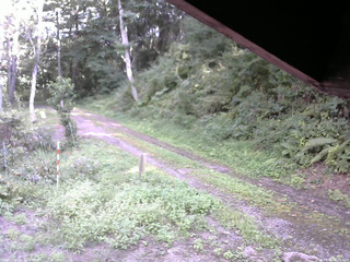 長野県菅平高原 ゆたか山荘 東側(坂下) 2025/09/01 14:45