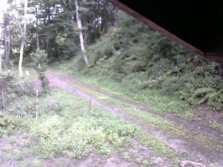 長野県菅平高原 ゆたか山荘 東側(坂下) 2025/09/01 15:30