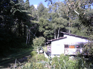長野県菅平高原 ゆたか山荘 西側(坂上) 2025/09/01 07:30