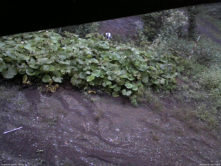 長野県菅平高原 ゆたか山荘 駐車場 2025/09/01 05:15