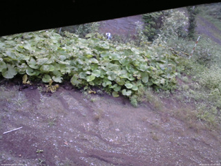 長野県菅平高原 ゆたか山荘 駐車場 2025/09/01 05:45