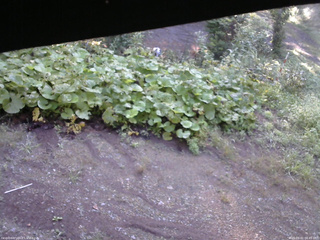 長野県菅平高原 ゆたか山荘 駐車場 2025/09/01 06:45