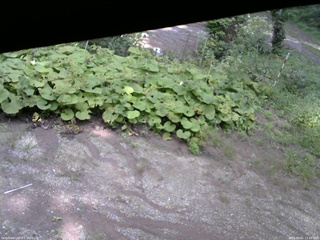 長野県菅平高原 ゆたか山荘 駐車場 2025/09/01 13:30
