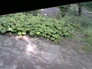 長野県菅平高原 ゆたか山荘 駐車場 2025/09/01 13:45