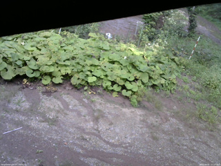 長野県菅平高原 ゆたか山荘 駐車場 2025/09/01 15:15