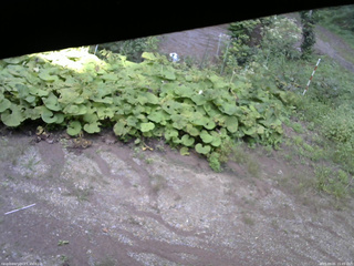長野県菅平高原 ゆたか山荘 駐車場 2025/09/01 15:45