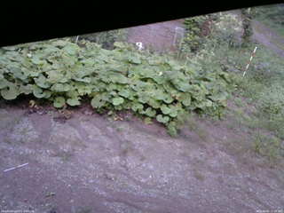 長野県菅平高原 ゆたか山荘 駐車場 2025/09/01 17:45