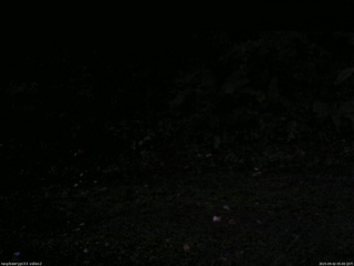 長野県菅平高原 ゆたか山荘 南側 2025/09/02 05:00