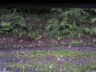 長野県菅平高原 ゆたか山荘 南側 2025/09/02 05:15