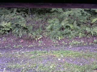 長野県菅平高原 ゆたか山荘 南側 2025/09/02 05:45