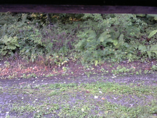 長野県菅平高原 ゆたか山荘 南側 2025/09/02 06:00