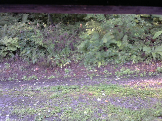 長野県菅平高原 ゆたか山荘 南側 2025/09/02 06:15