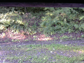 長野県菅平高原 ゆたか山荘 南側 2025/09/02 06:30