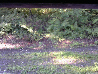 長野県菅平高原 ゆたか山荘 南側 2025/09/02 06:45