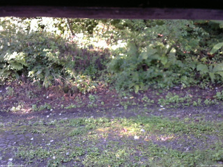 長野県菅平高原 ゆたか山荘 南側 2025/09/02 07:00