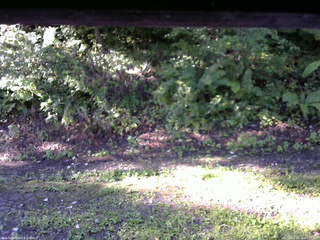 長野県菅平高原 ゆたか山荘 南側 2025/09/02 07:15