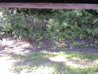 長野県菅平高原 ゆたか山荘 南側 2025/09/02 07:30