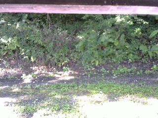 長野県菅平高原 ゆたか山荘 南側 2025/09/02 07:45