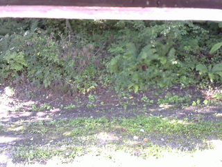 長野県菅平高原 ゆたか山荘 南側 2025/09/02 08:00