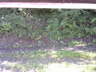 長野県菅平高原 ゆたか山荘 南側 2025/09/02 08:15