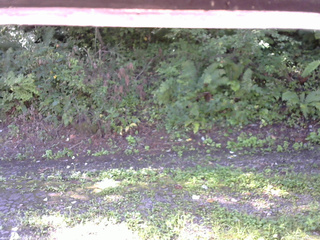 長野県菅平高原 ゆたか山荘 南側 2025/09/02 08:30