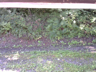 長野県菅平高原 ゆたか山荘 南側 2025/09/02 08:45