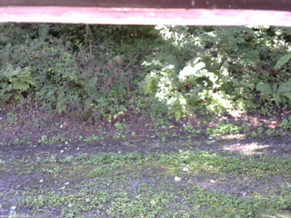 長野県菅平高原 ゆたか山荘 南側 2025/09/02 09:00