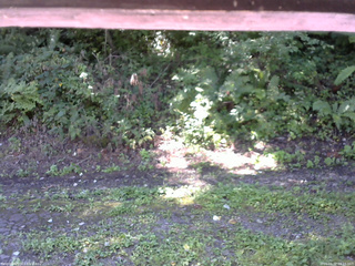 長野県菅平高原 ゆたか山荘 南側 2025/09/02 09:15