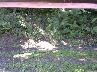 長野県菅平高原 ゆたか山荘 南側 2025/09/02 09:30